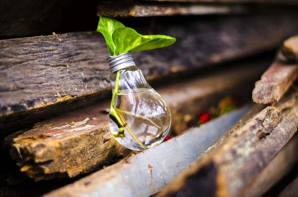 como reciclar en empresas